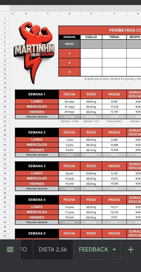 Plan de Martinhm — seguimiento semanal, página 3